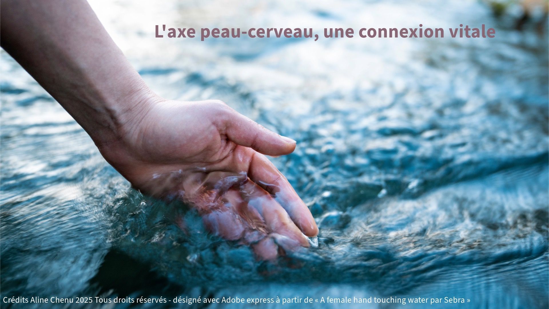 L'axe peau-cerveau, une connexion vitale