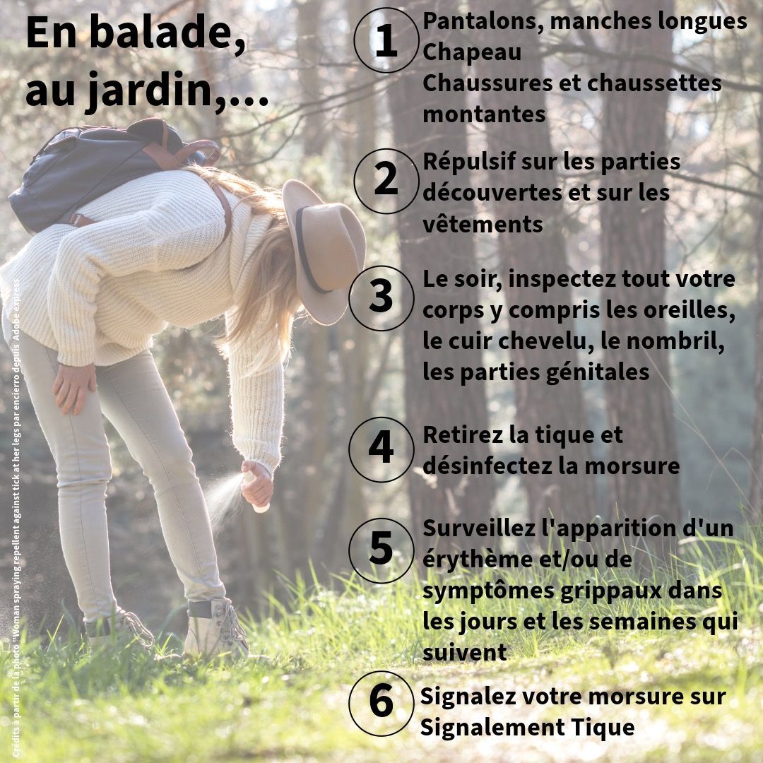 Comment se protéger contre les tiques Comment se protéger contre les tiques