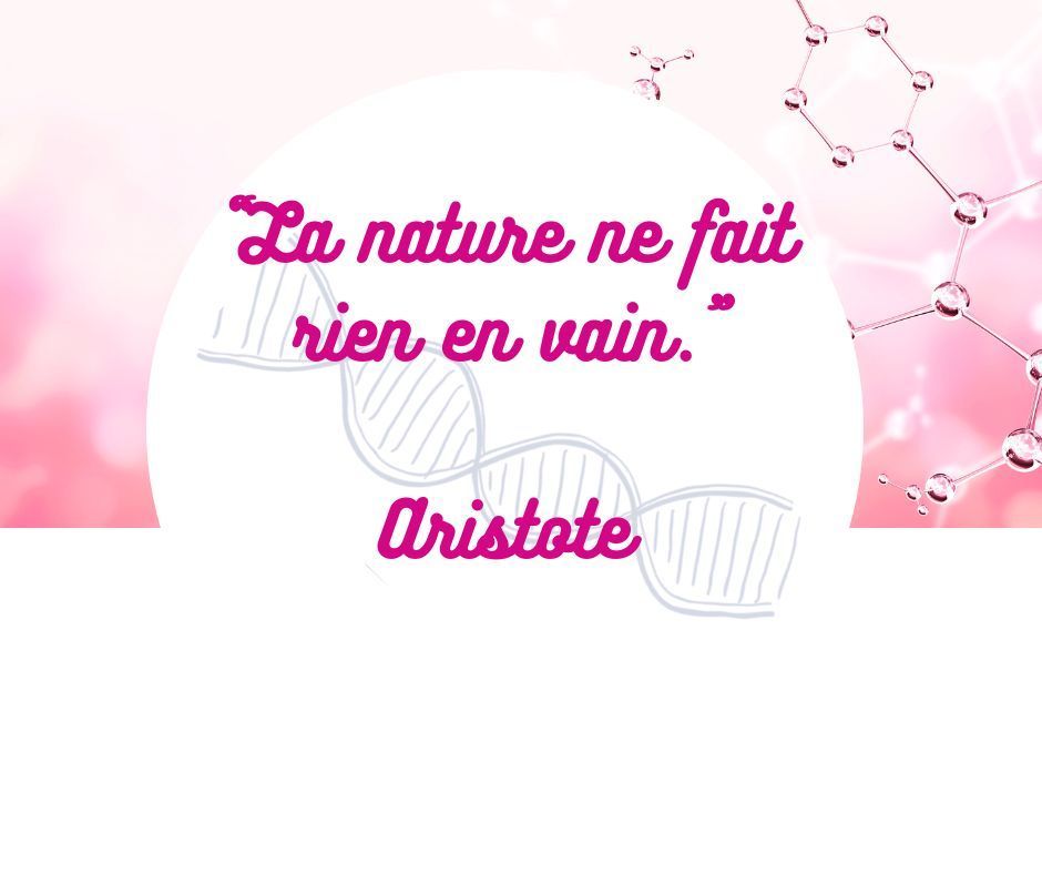 Citation Aristote Citation Aristote