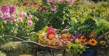 jardiner en septembre