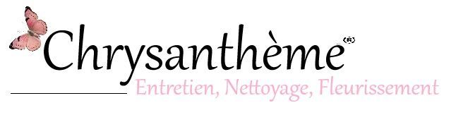 CHRYSANTHEME entretien tombe alsace