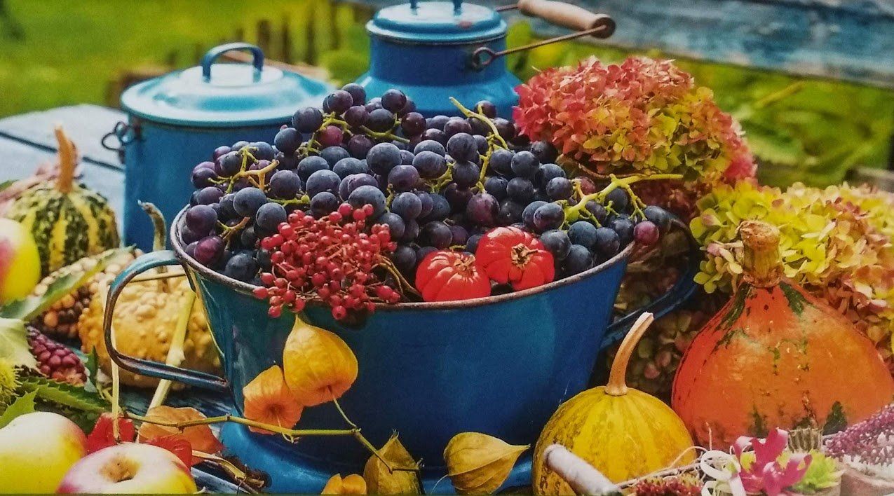 octobre au jardin par LES FEES DU RHIN kunheim