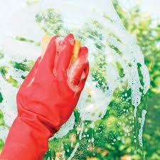 nettoyer les vitres par LES FEES DU RHIN