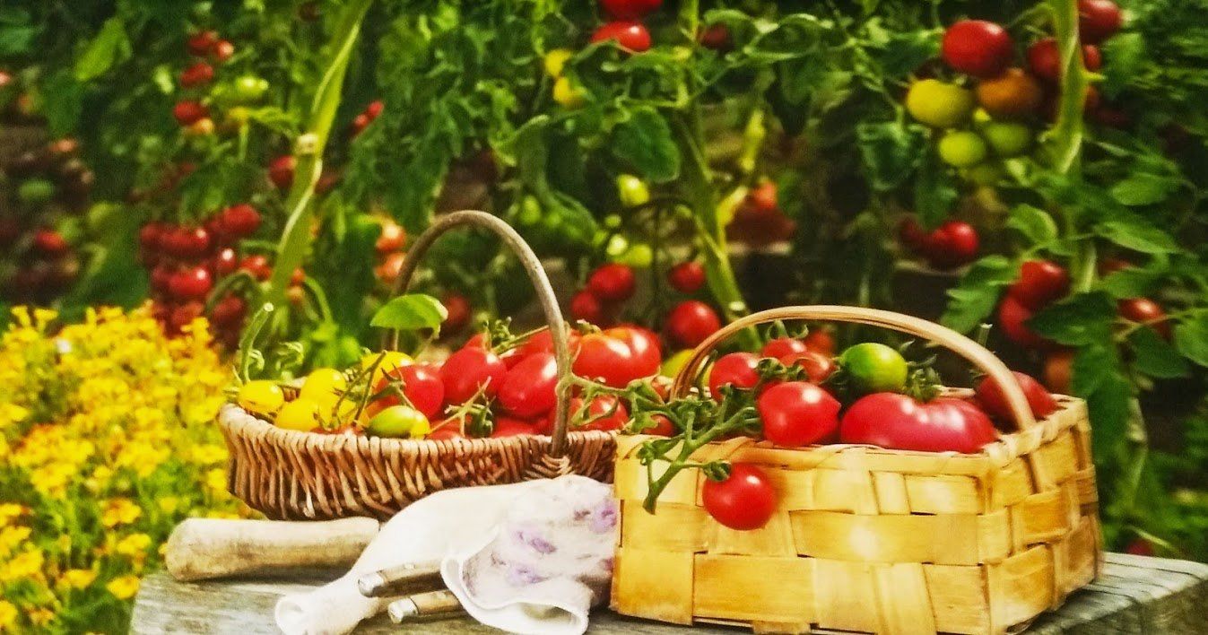 LES FEES DU RHIN kunheim