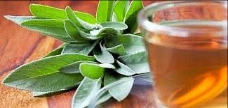 Hausgemachte Salbeibonbons