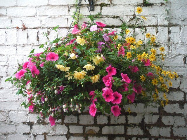 SUSPENSION FLORALE LES FEES DU RHIN