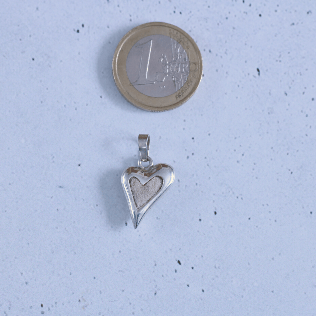asymmetrischer Kettenanhänger in herzform mit Tierhaaren neben einer 1 euro Münze für den Größenvergleich