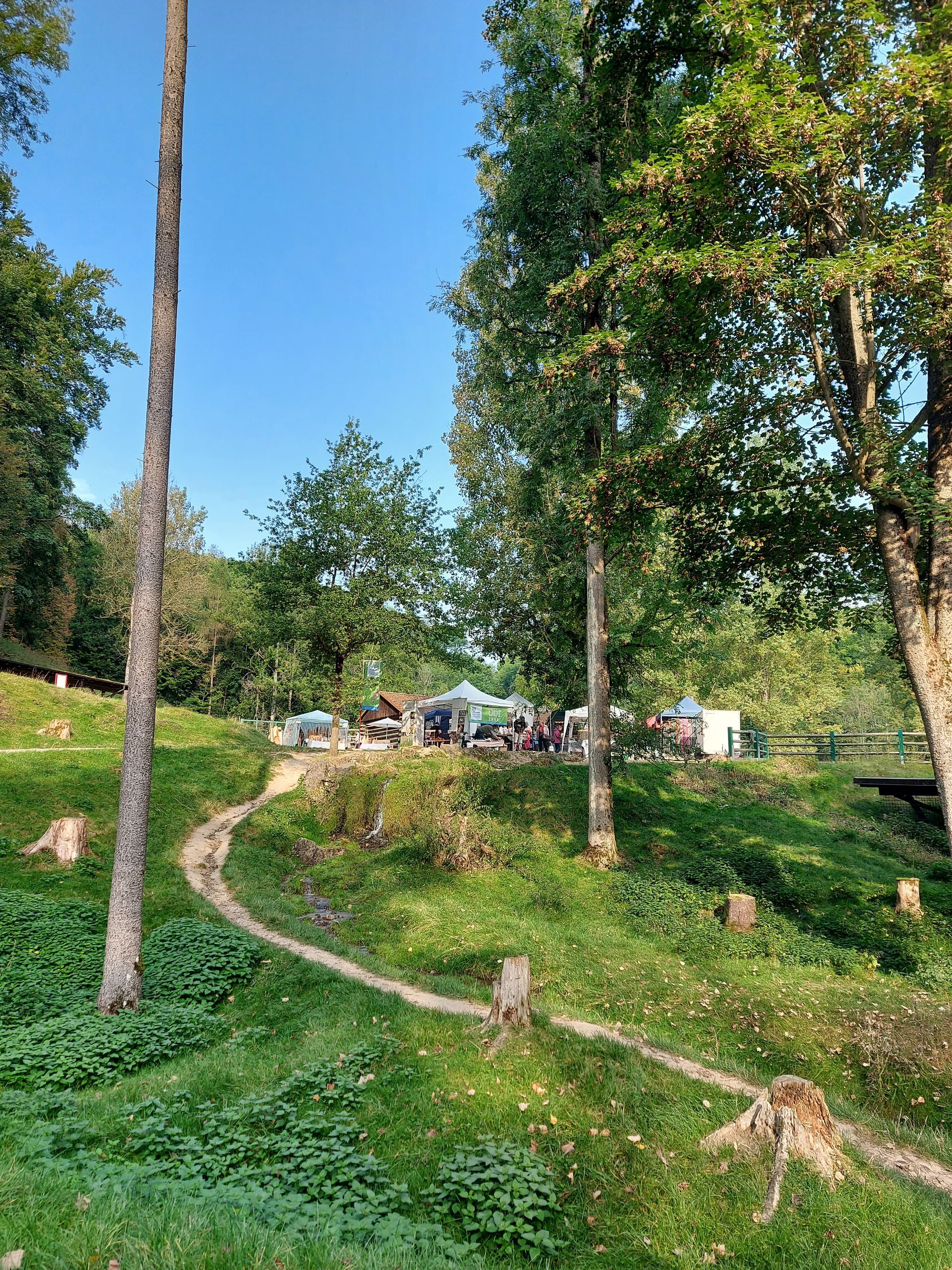 ein Blick auf die wunderschöne Kulisse des Wildparks in Hundshaupten. Die schöne Athmosphäre ädt viele Besucher in die fränkische Schweiz ein.