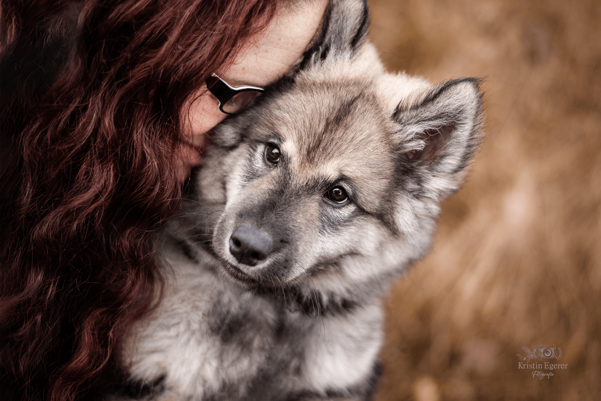 Eurasierrüde Capone-Groll vom Lerchensporn mit Frauchen