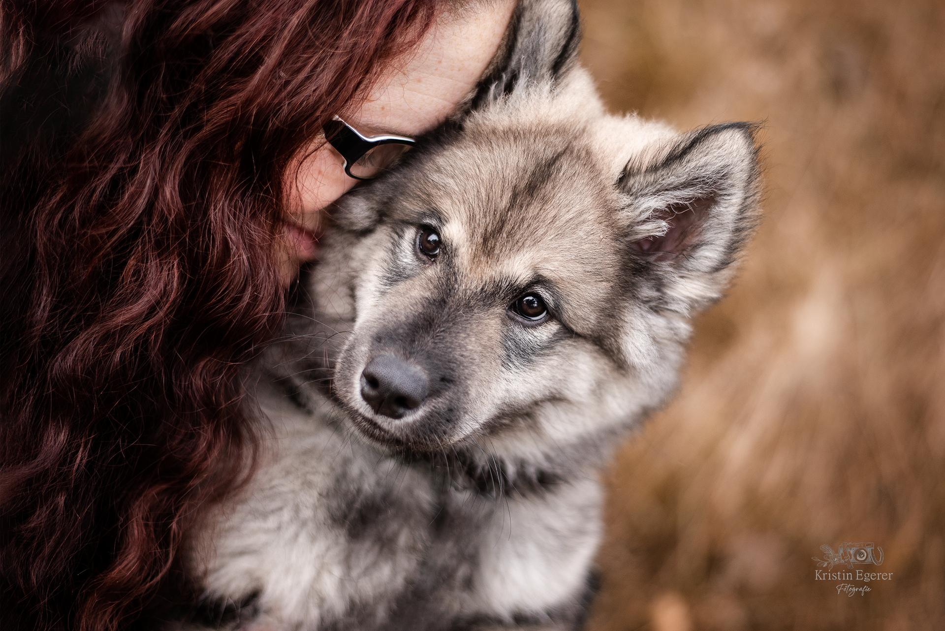 Frau-mit-langen-Haaren-schmiegt-ihr Gesicht-liebevoll-an-einen-wunderschönen-solfsähnlichen-Hundewelpen.Ein-Moment-des-Glücks