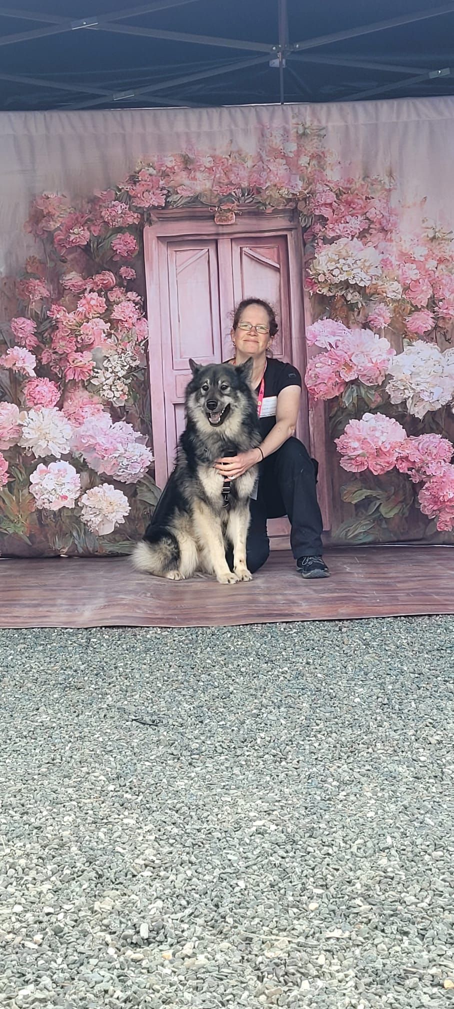 Ein Pavillion mit einer schönen Rückwand, damit die Besucher mit ihren Hunden ein schönes Foto machen können