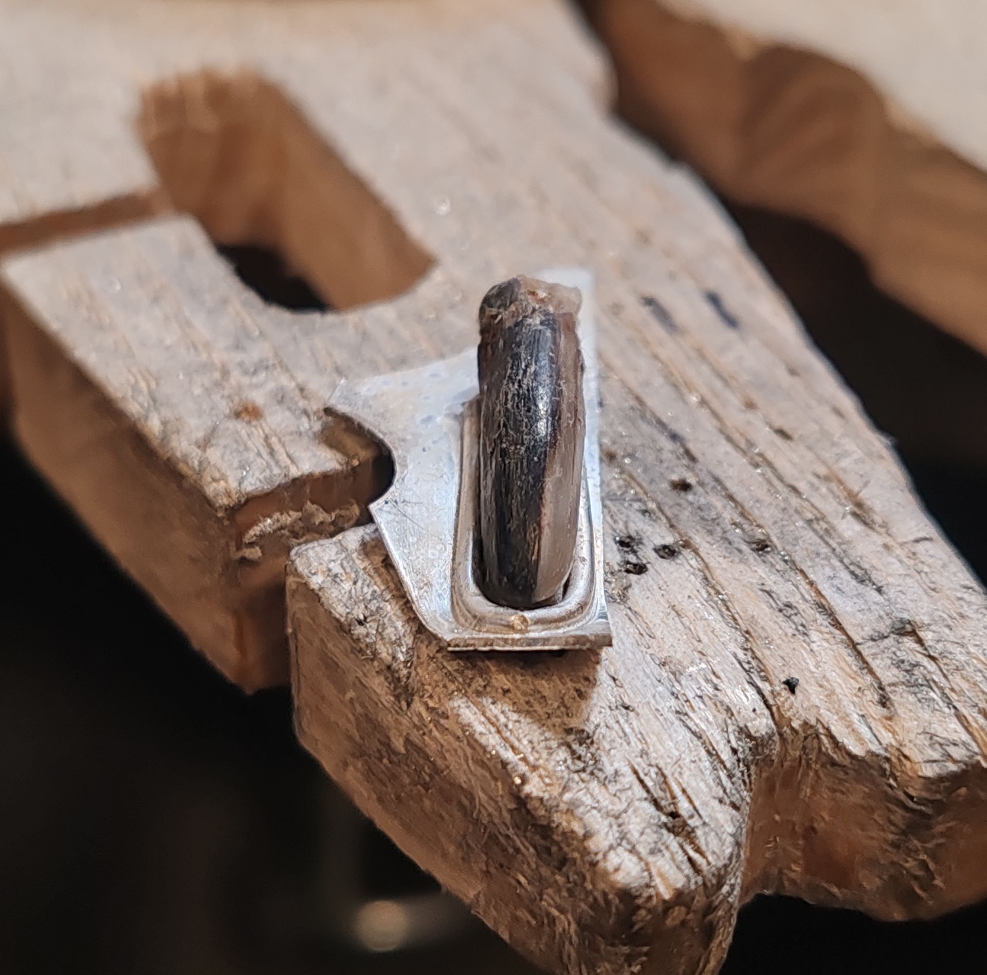 Die Fassugn aus Sterlingsilber wird auf die Form einer Hundekralle angepasst