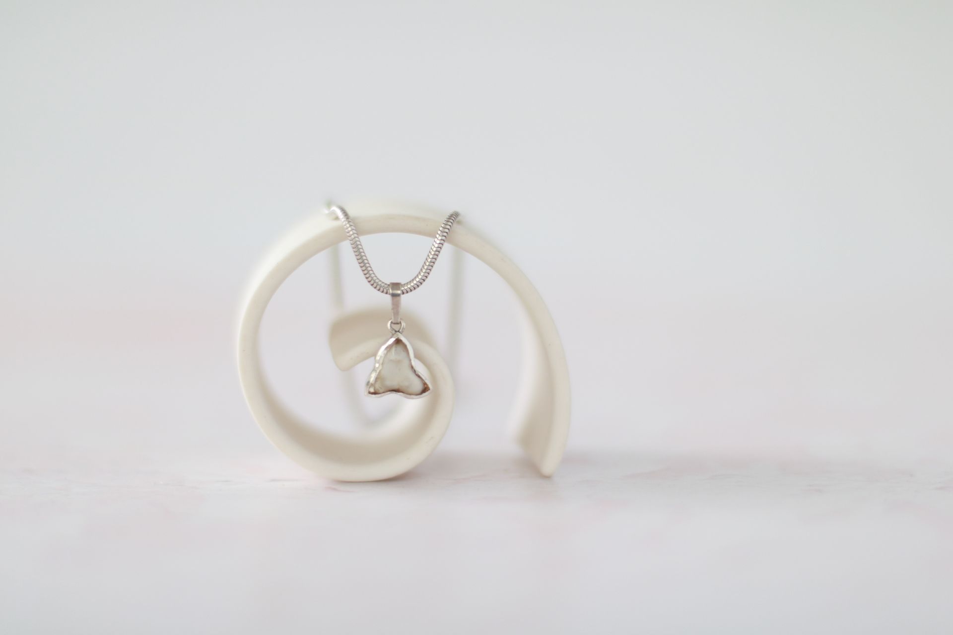 kettenanhänger aus Sterliongsilber mit einem eingefassten Milchzahn, ein Backenzahn von einem Eurasier