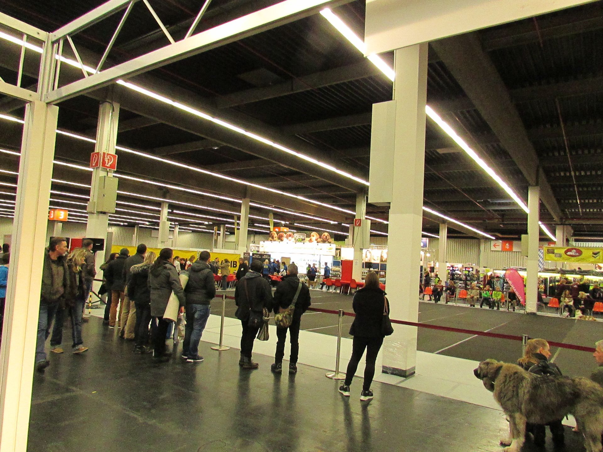 Wie immer befindet sich der Messestand von Seelenfreund direkt am Ehrenring auf der Cacib in Nürnberg