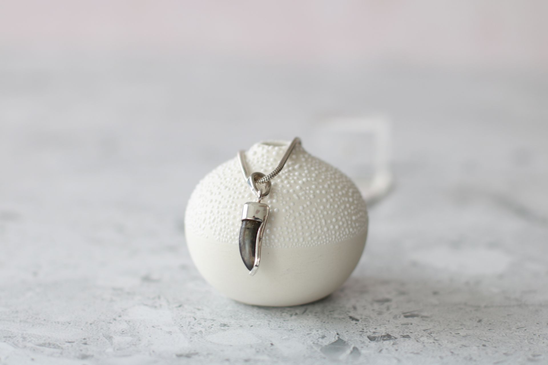 Kettenanhänger aus Sterlingsilber mit einer eingefassten Hundekralle.