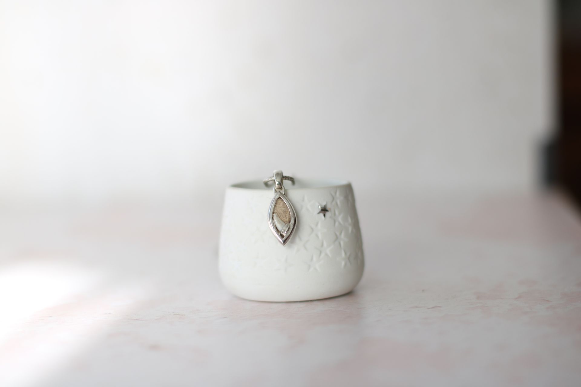 kettenanhänger in navetteform mit einem Hundezahn und weichem Hundehaar