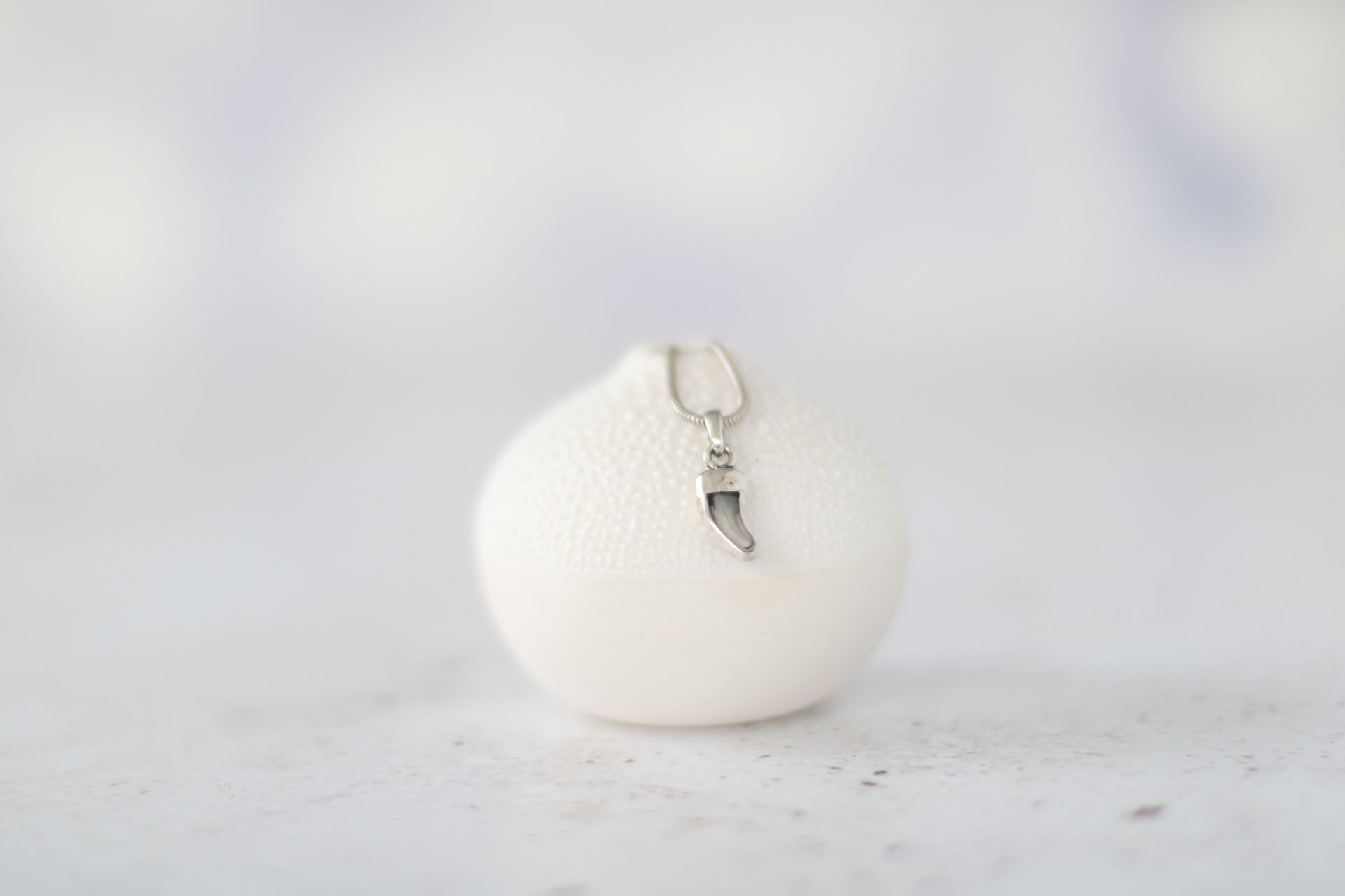 Kettenanhänger aus Silber mit dem eingefassten Milchzahn eines Hundes.