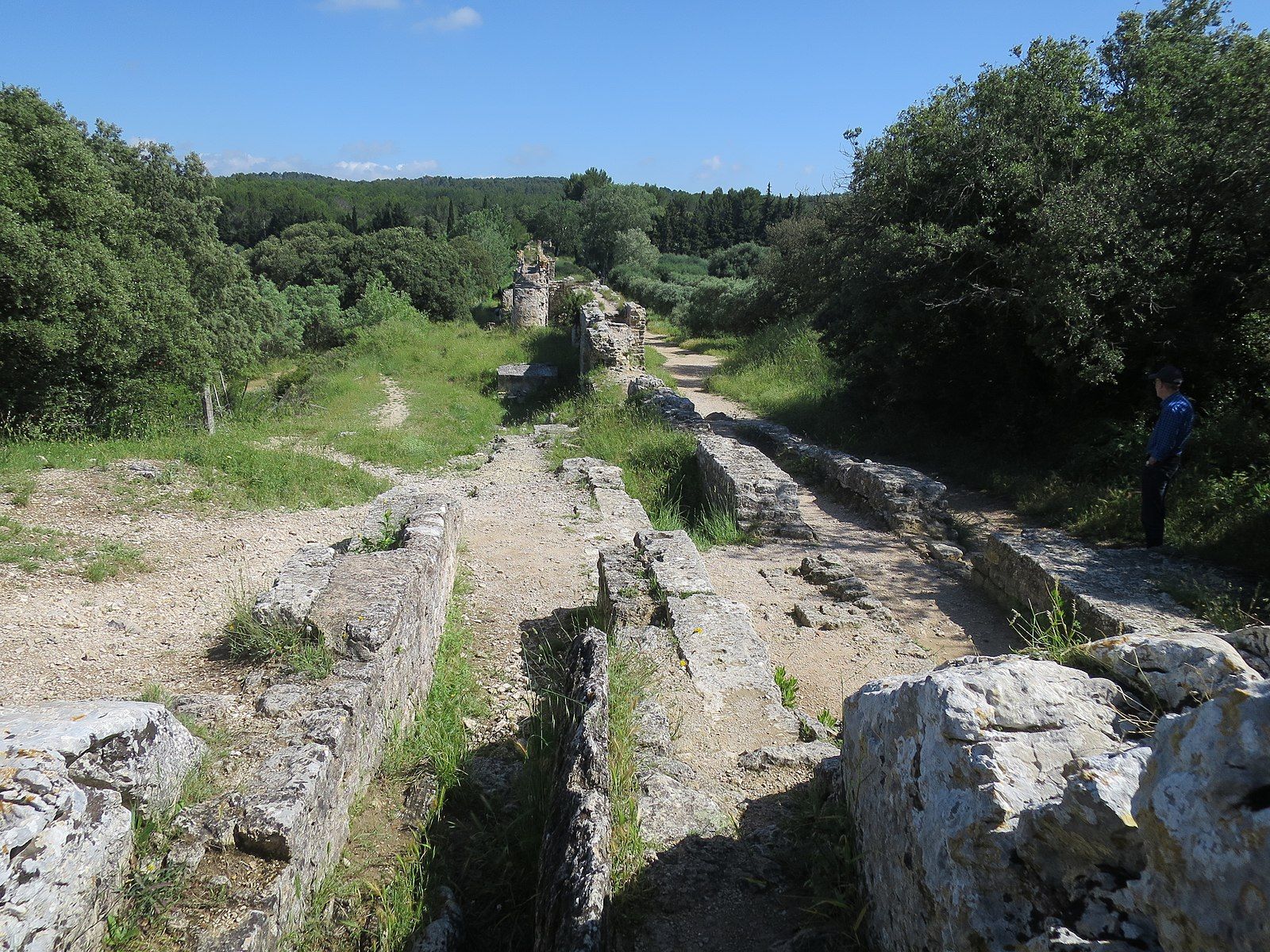 Bild: © Wikimedia Commons