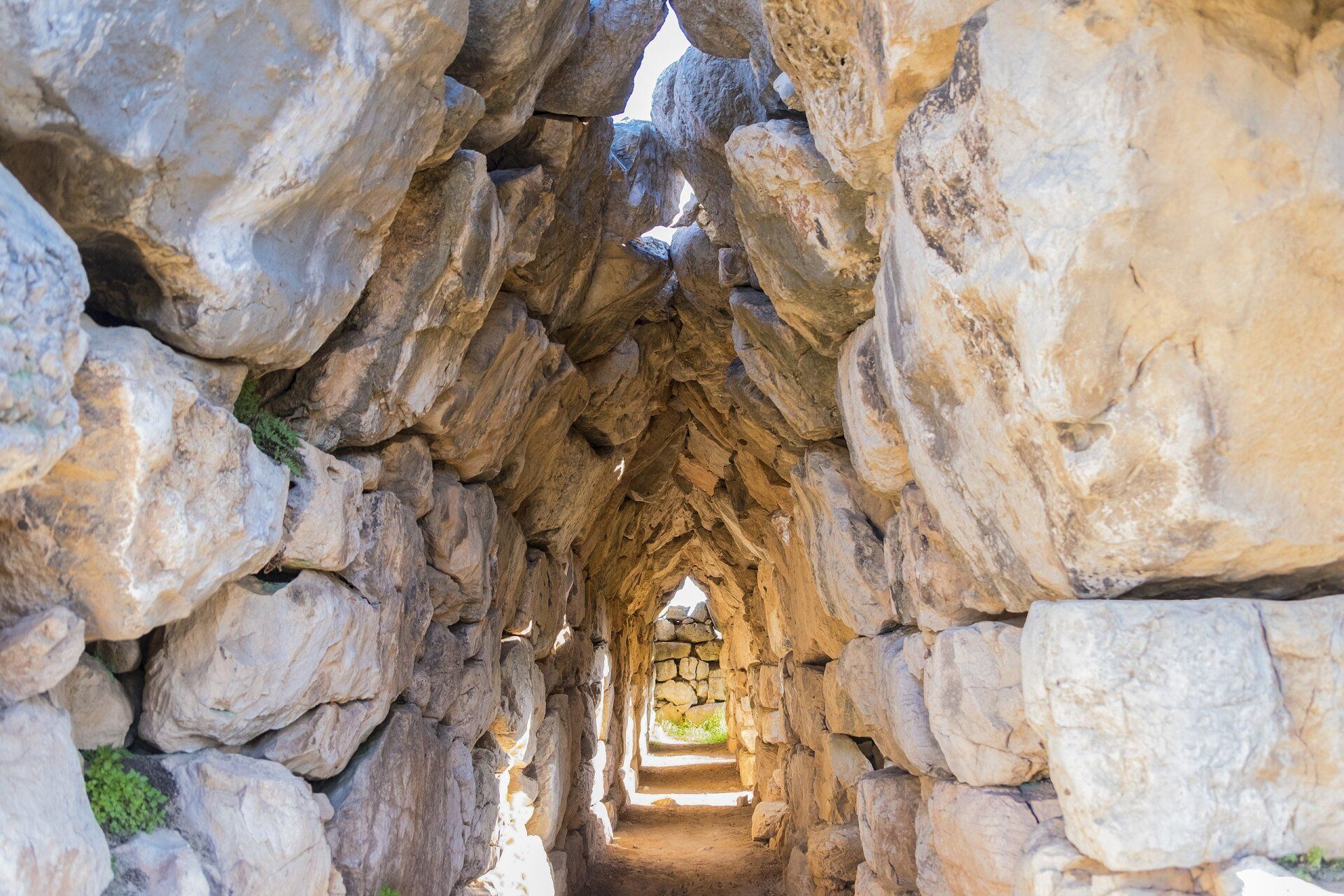 © Bild: Wikimedia Commons