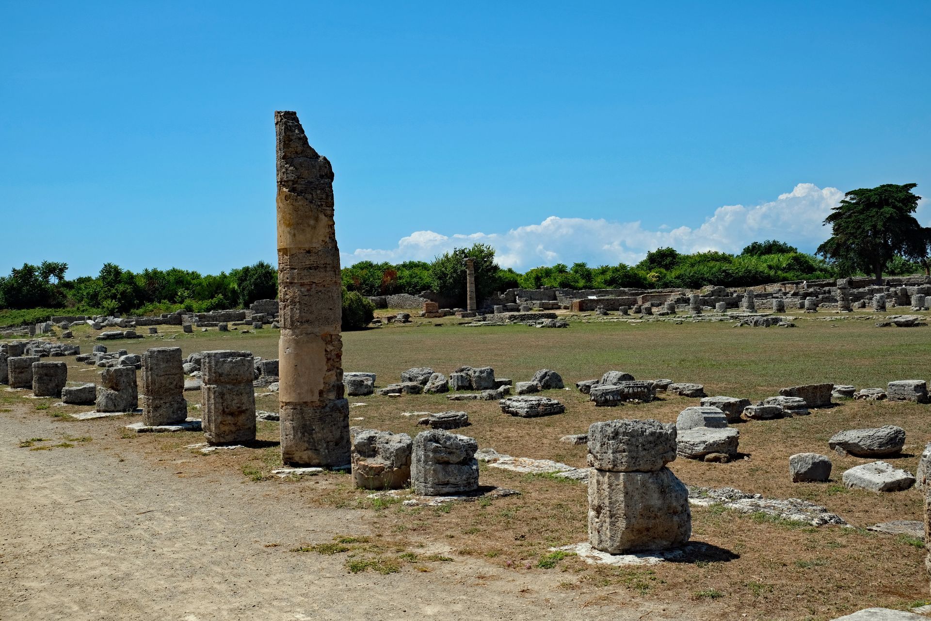römisches Forum in Paestum