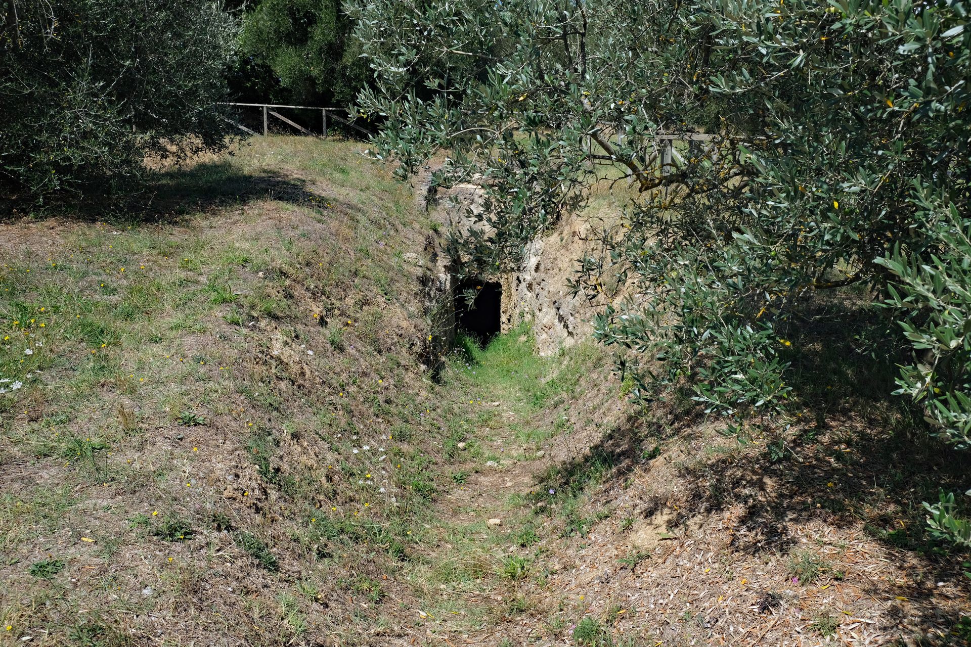 Pianacce-Nekropole in Sarteano