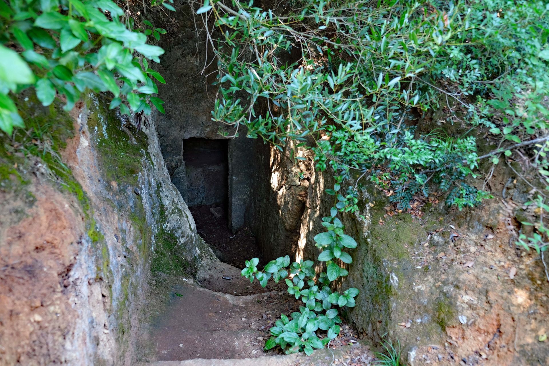 Nekropole delle Grotte in Populonia