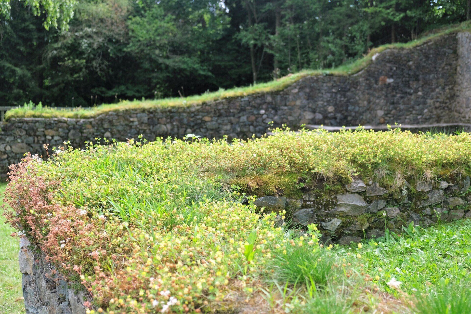 Terrassenhäuser Magdalensberg