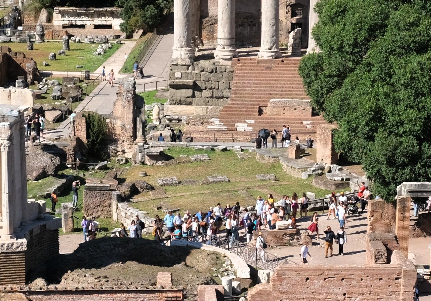 Regia - Forum Romanum