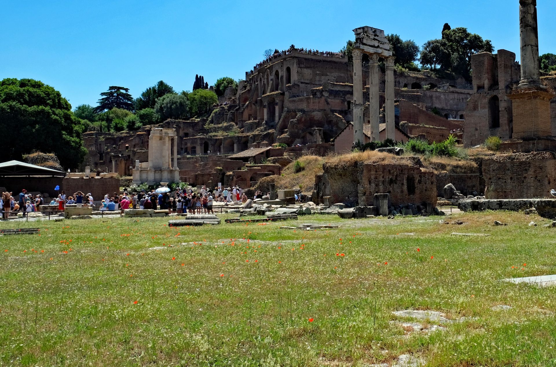 Rostra Diocletiani - Forum Romanum
