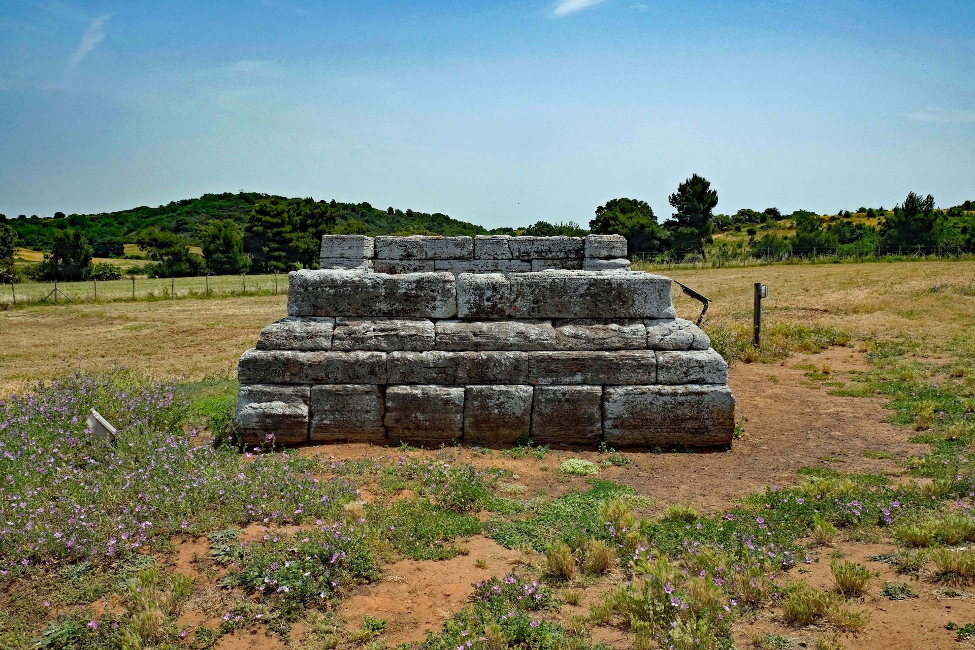 Tomba delle tazze attiche Populonia