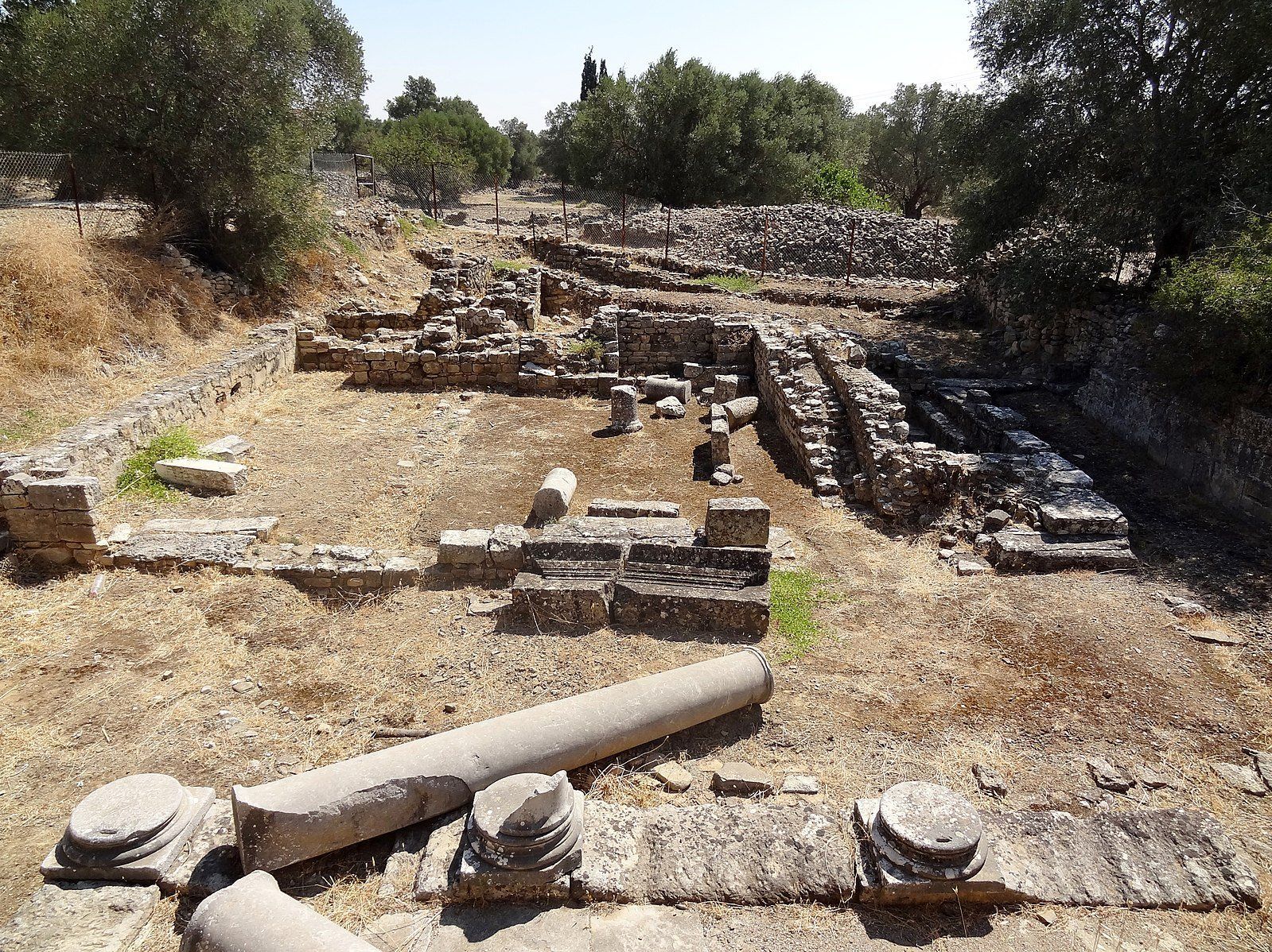 © Bild: Wikimedia Commons