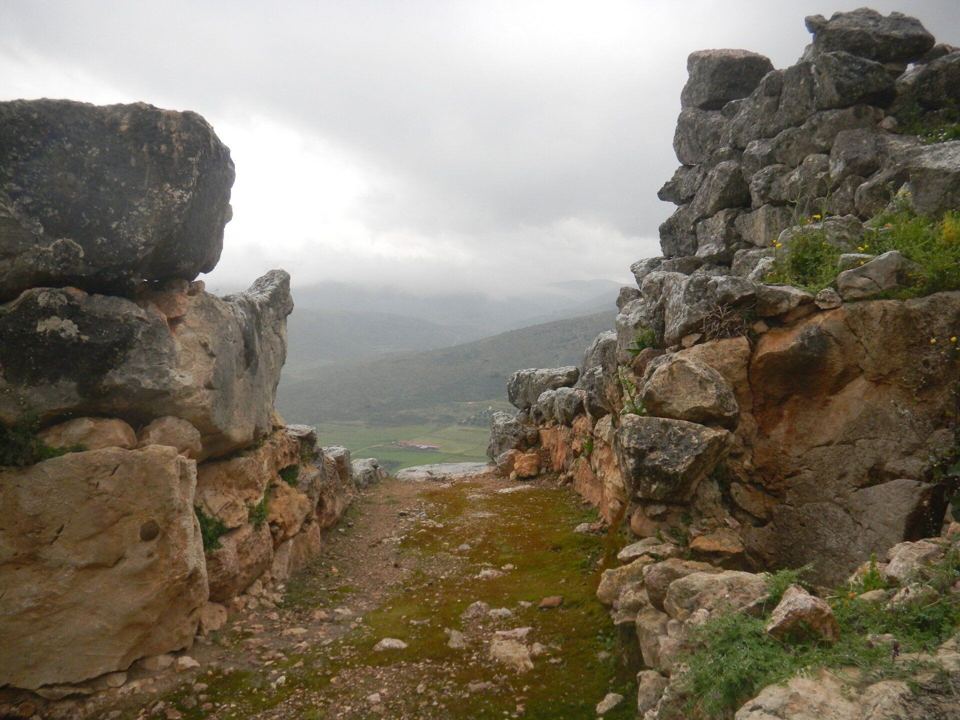 © Bild: Wikimedia Commons