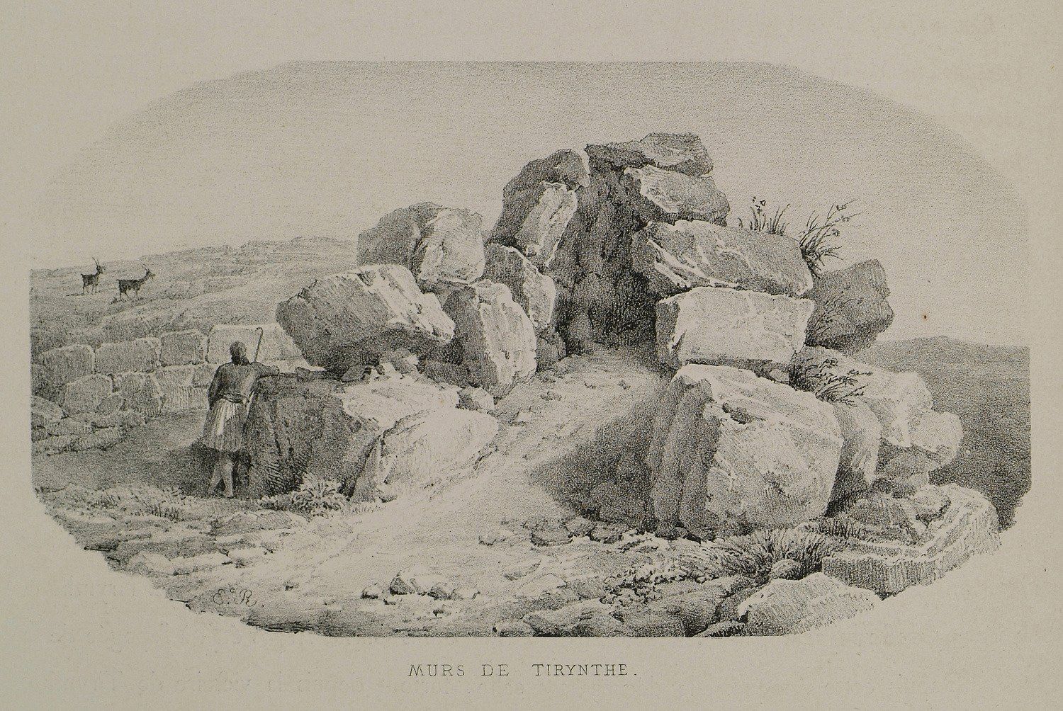 © Bild: Wikimedia Commons