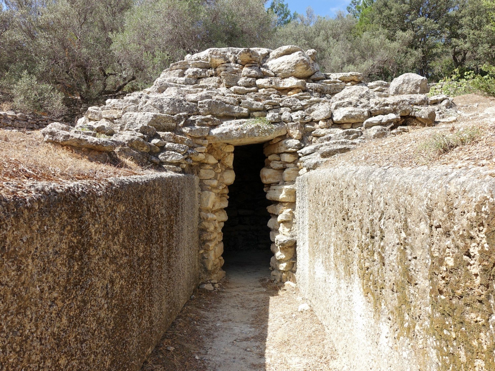 © Bild: Wikimedia Commons