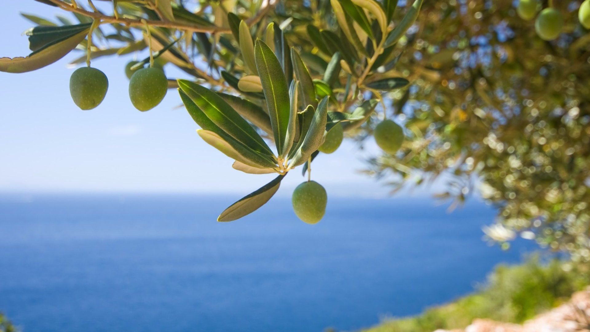 ©Bild: Pixabay Antike Lebenskunst