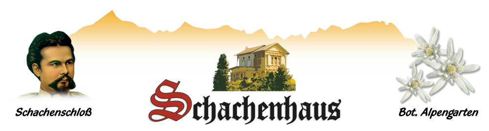 Anna & Daniel