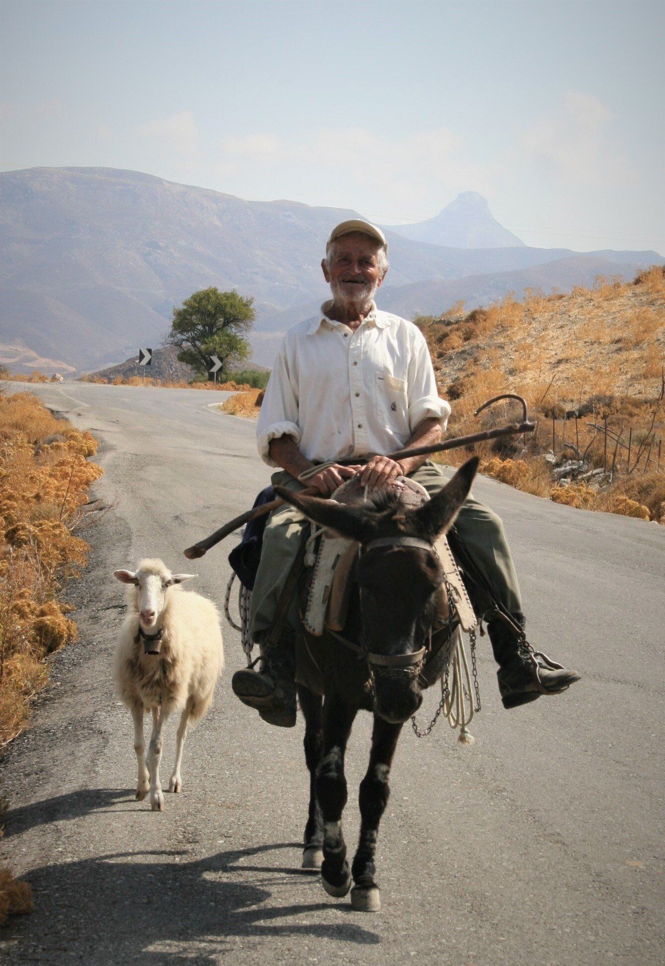 Cover Vertriebskennzahlen für Stadtwerke