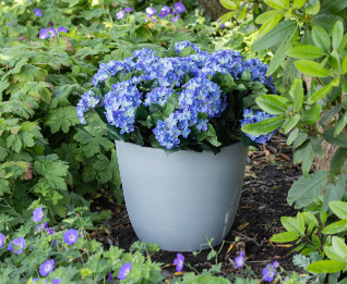 Ecostone → Nachhaltig und besonders langlebig Ecostone Blumentopf aus recyceltem Material UV-beständig und langlebig