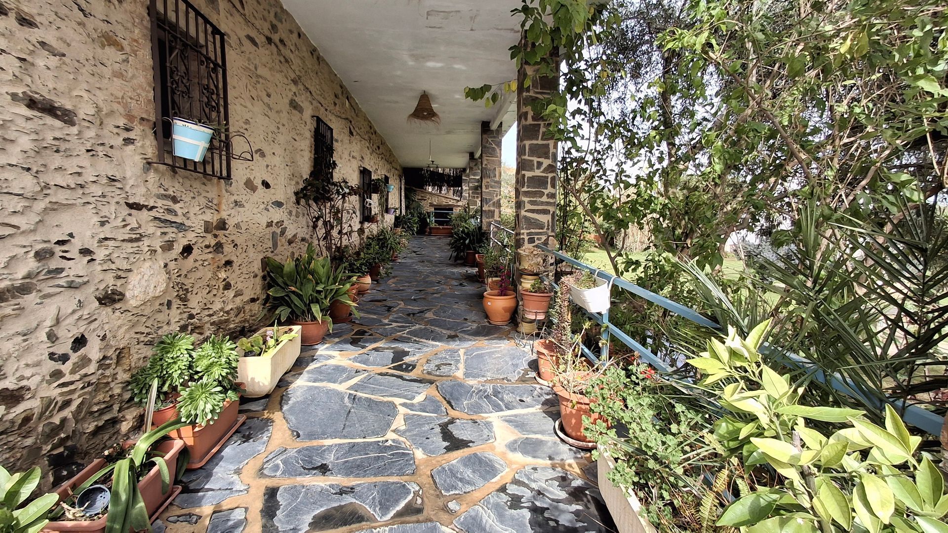 Vista de la galería de las plantas