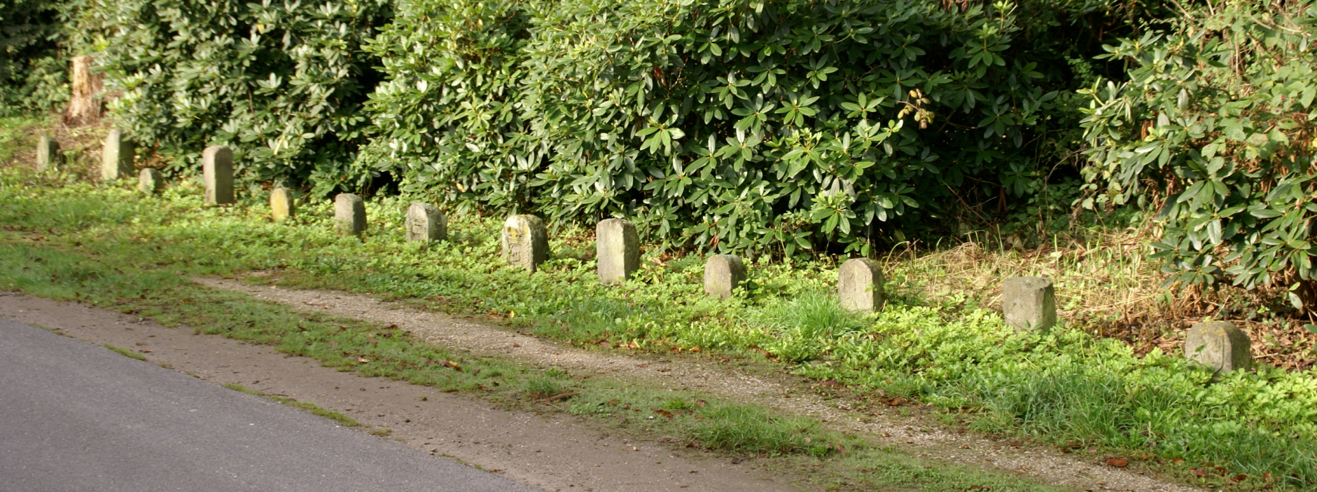 Grenzsteine in Buschhoven (Foto Verein Zehnthaus e.V.)