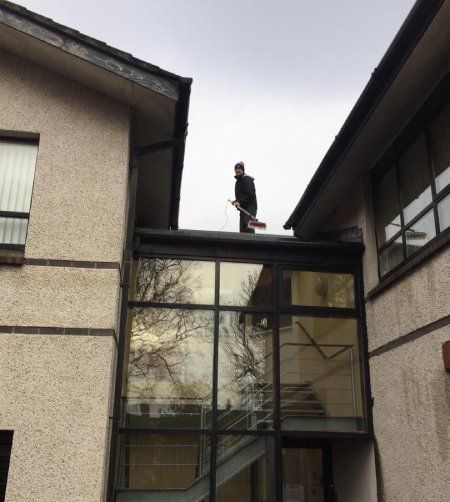 Roof cleaning