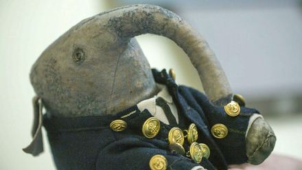 Pumpie the elephant featured in Secrets of the Museum