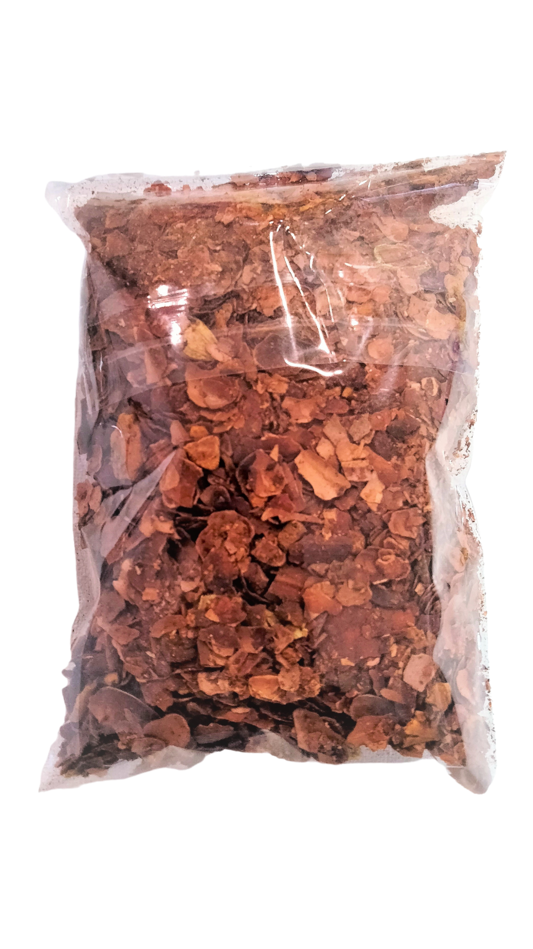 granos de cacao tostado