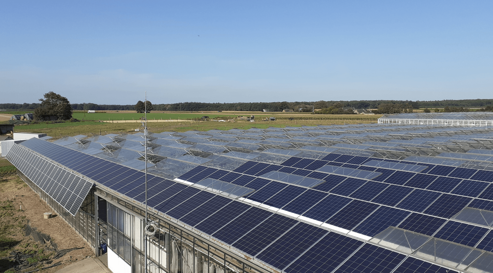 H.W. Mrotzek GmbH - Photovoltaik im Gewächshaus Indachmodule und Module an der Seitenwand