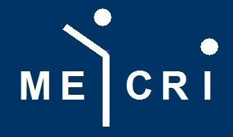 Logo del grupo de investigación MECRI de la Universidad Jaume I, Castellón, España