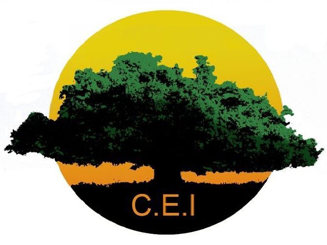 LOGO DEL CONSORCIO PARA LA EDUCACIÓN INCLUSIVA