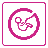 Icon Während der Schwangerschaft