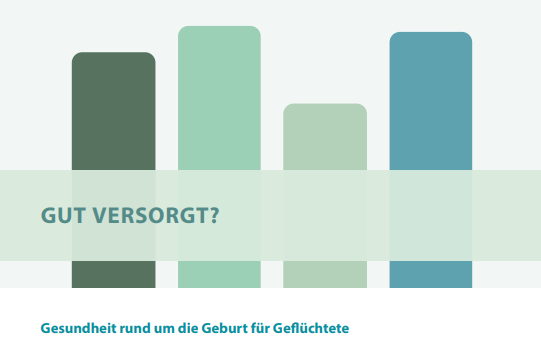 Hexagone mit Piktogrammen zum Thema Schwangerschaft und Versorgung