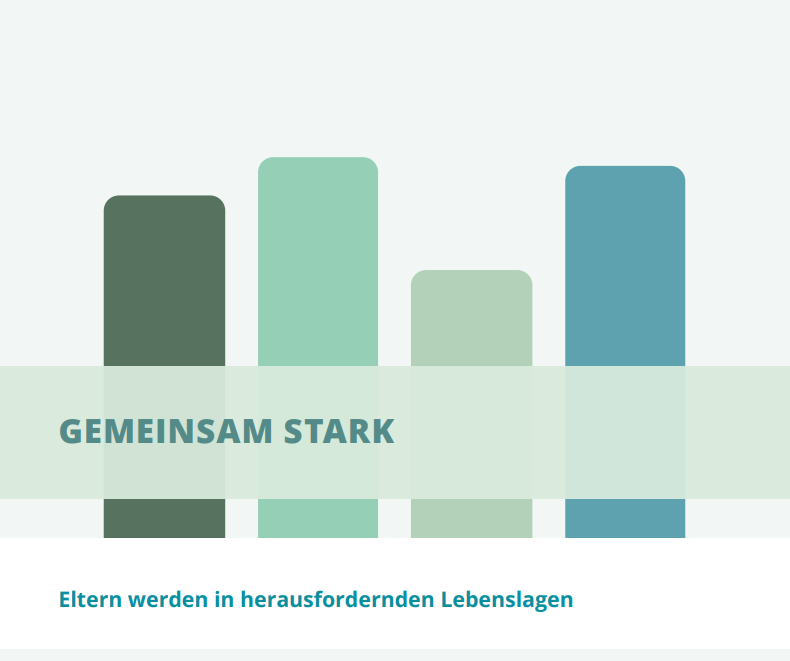 Hexagone mit Piktogrammen zum Thema Schwangerschaft und Versorgung