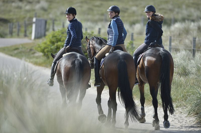 zum Archiv zum blickpunkt Streitferdt Archiv